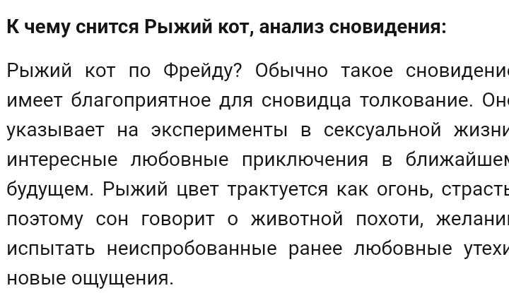 К чему снятся кошки женщине или мужчине: значение видения по сонникам, смысл сна для замужних и одиноких дам