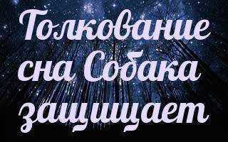 К чему снится пальто – сонник энигма