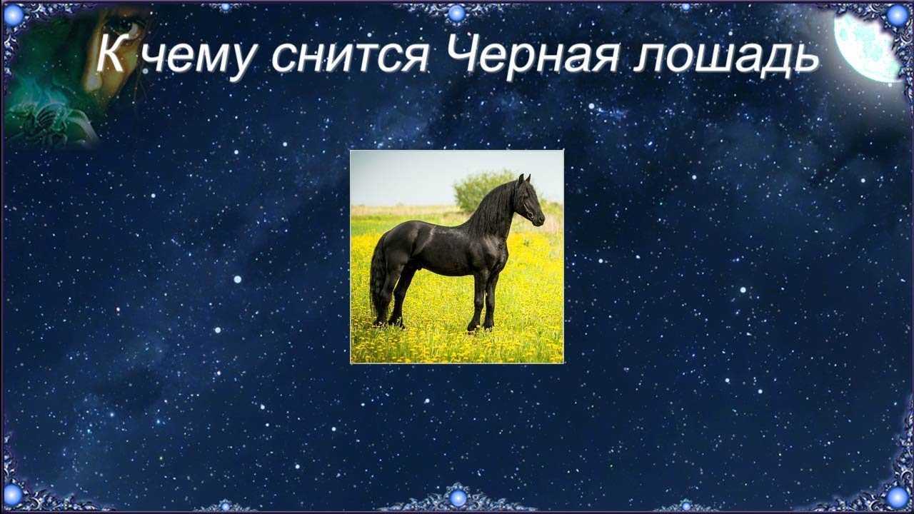 Что значит сон про табун лошадей — 35 толкований