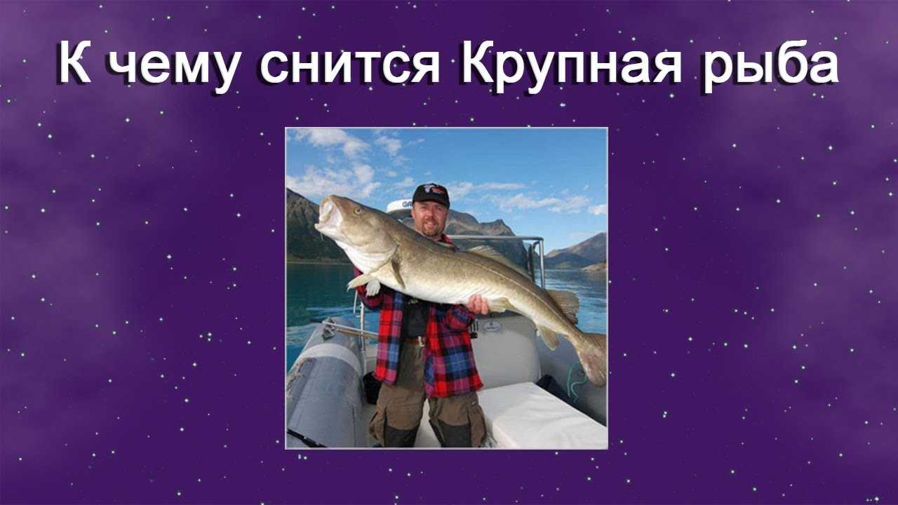 К чему снится сырая рыба - толкование для женщины