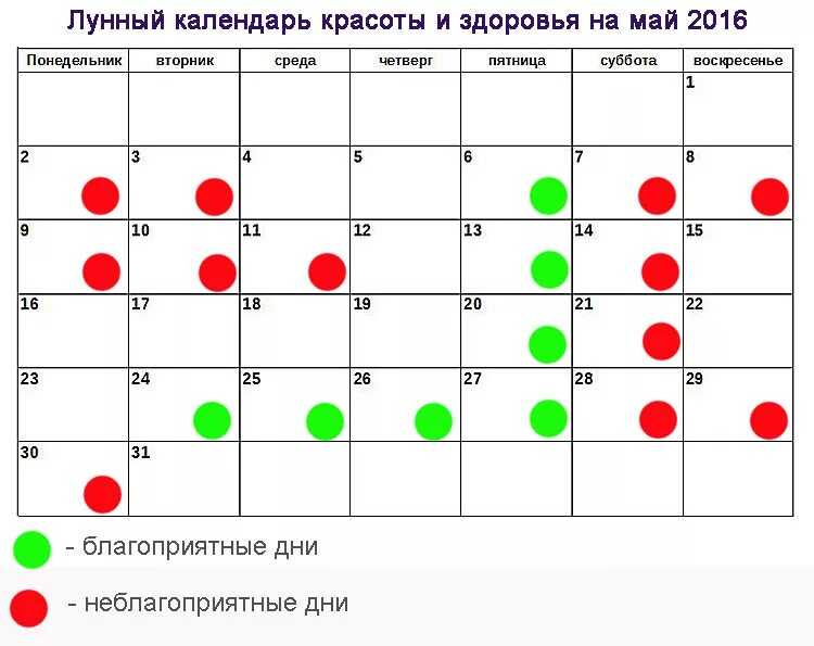 Лунный календарь на декабрь 2023: стрижка, путешествия, покупки | ямал-медиа