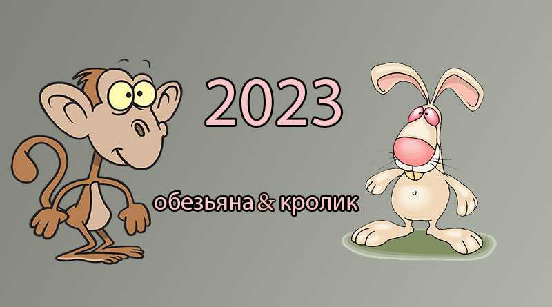 Обезьяна 2023 год. Обезьяна гороскоп. Гороскоп на год обезьяны 2023. Год кролика. Гороскоп на 2023 обезьяна.