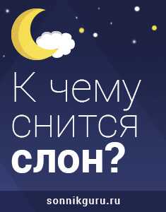 К чему снится женщине слон по сонникам?