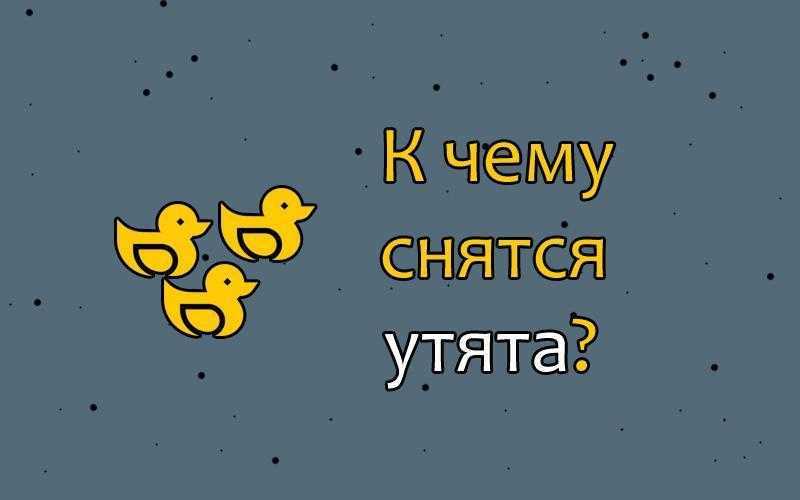 К чему снятся утки