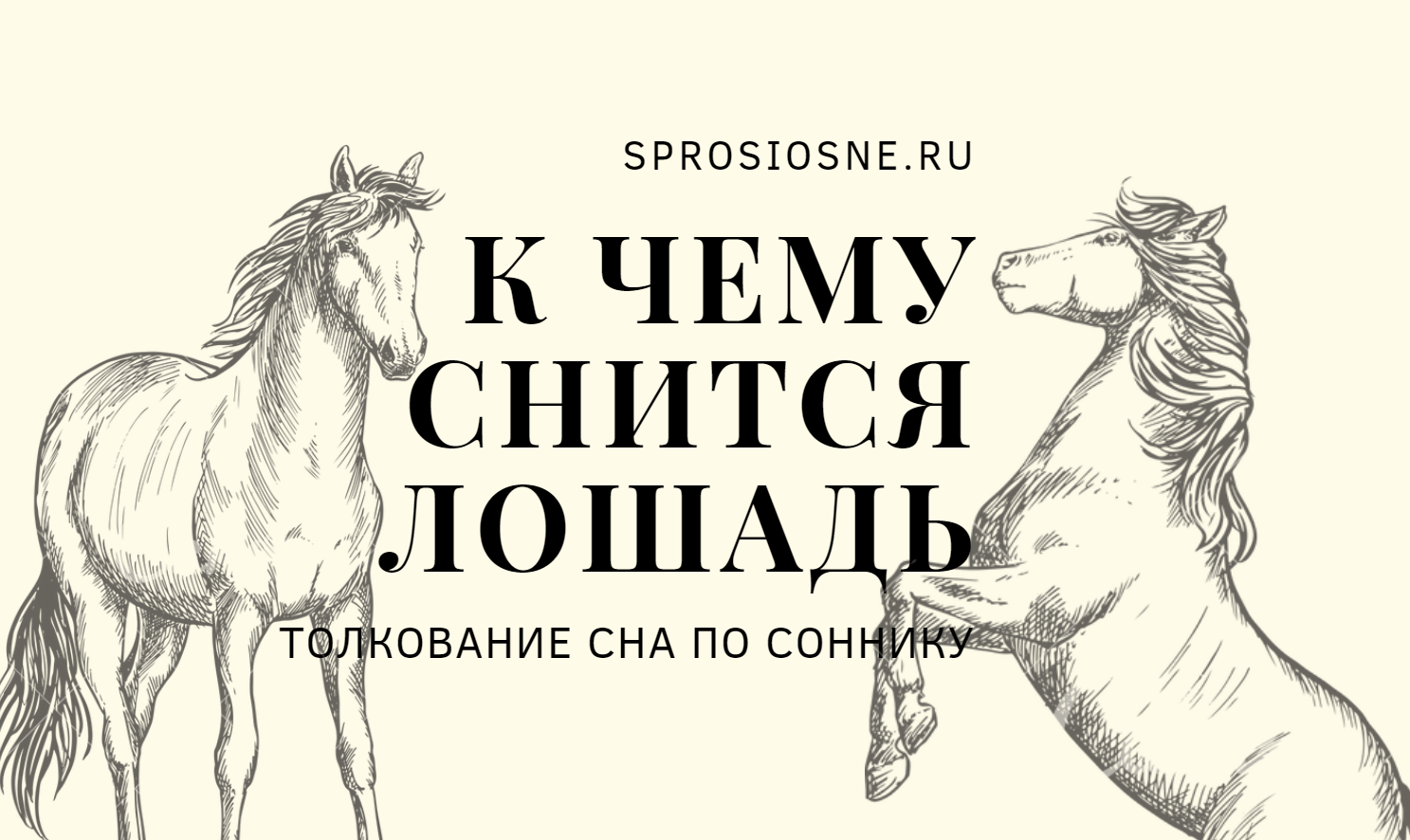 К чему снится лошадь - женщине, мужчине, девушке, белый конь, скакать верхом