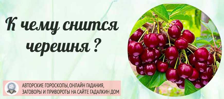 К чему снится черешня во сне спелая, порченная, крупная или мелкая Толкование по сонникам Миллера, Ванги и Фрейда с учетом подробностей для женщин и мужчин