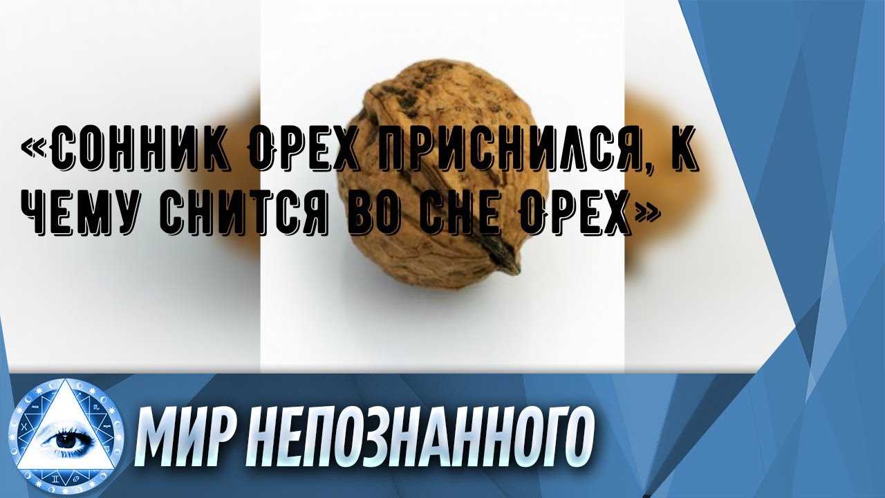 Сонник орех | гороскопы 365