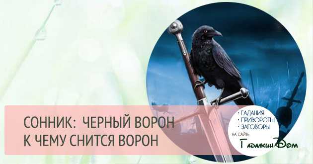 К чему снятся чёрные вороны. сонник про ворон во сне