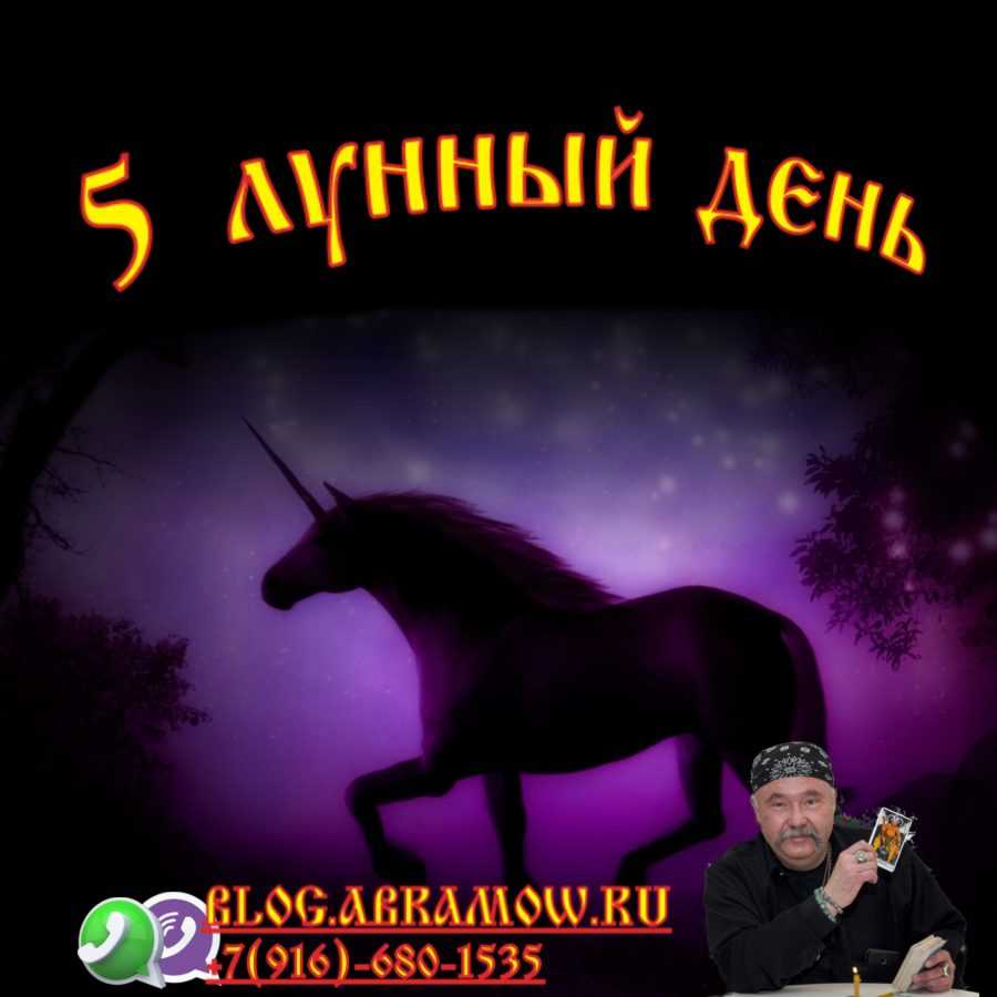 5 лунный день: характеристика, стрижка, день рождения, свадьба, сны