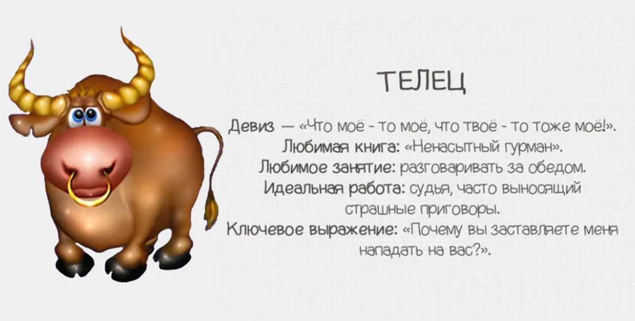 Прикольный шуточный гороскоп на 2024 год в стихах и прозе по знакам зодиака Весёлые предсказания для корпоратива или новогоднего застолья