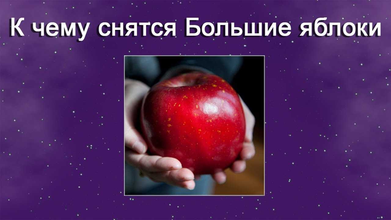 К чему снятся яблоки: красные на дереве, зелёные или большие по сонникам