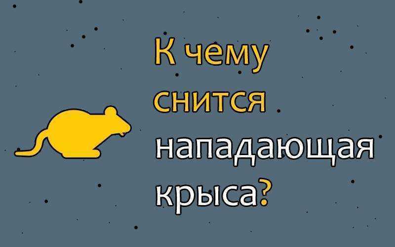 Мертвая крыса во сне