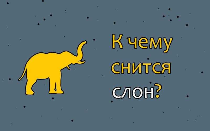 Толкование снов про стадо, к чему снятся слоны в воде или слонёнок в зоопарке