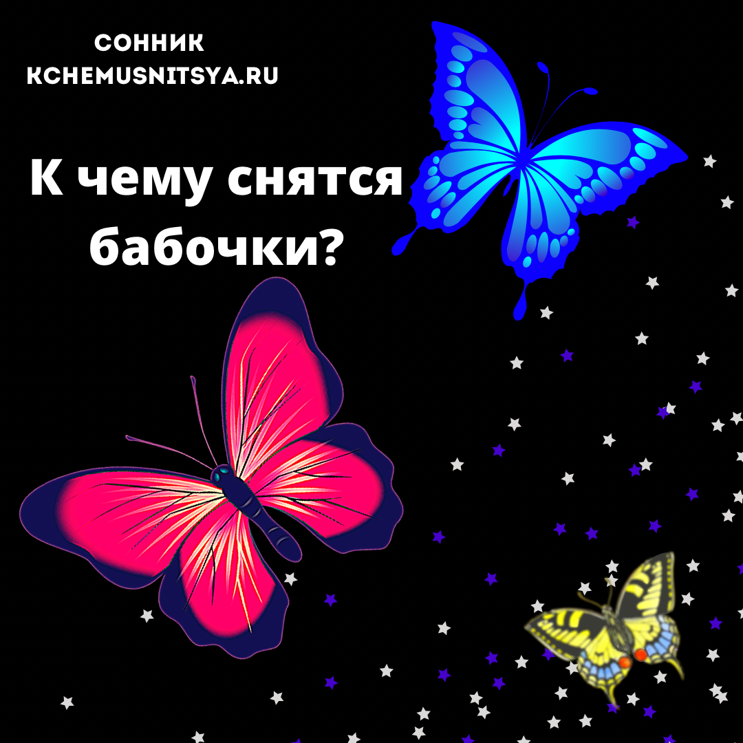 К чему снятся бабочки: цветные или разноцветные разных размеров, в доме или на природе