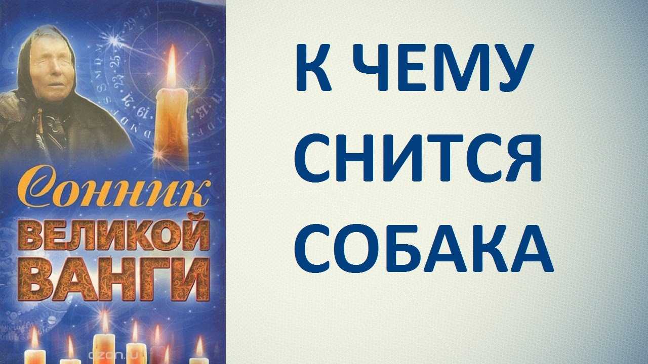 Сонник: крышка от гроба стоит в подъезде - к чему снится видеть это во сне?