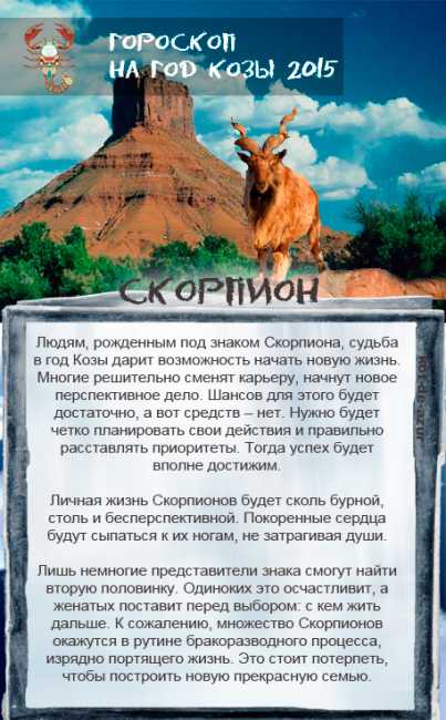 2003 — год какого животного? гороскоп по годам