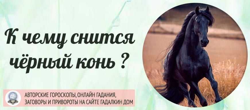 Сонник: ехать на лошади верхом, белая лошадь. толкование снов - tolksnov.ru
