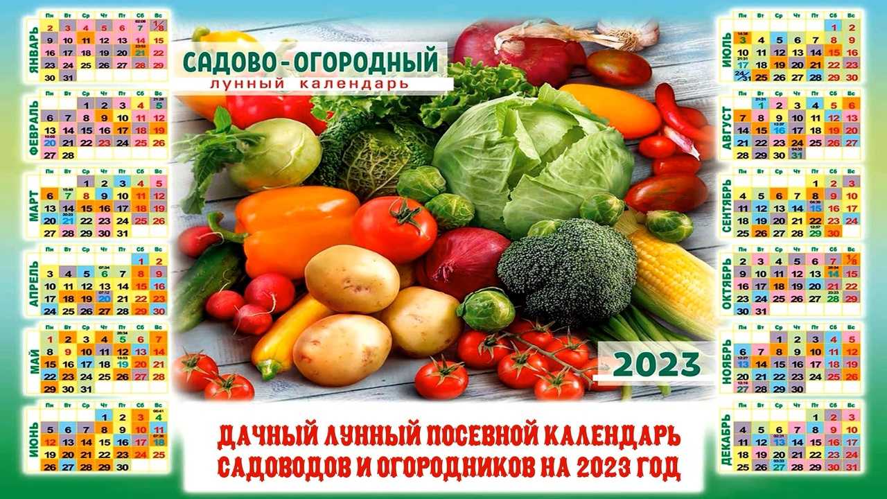 Лунный календарь на 2024 год по месяцам