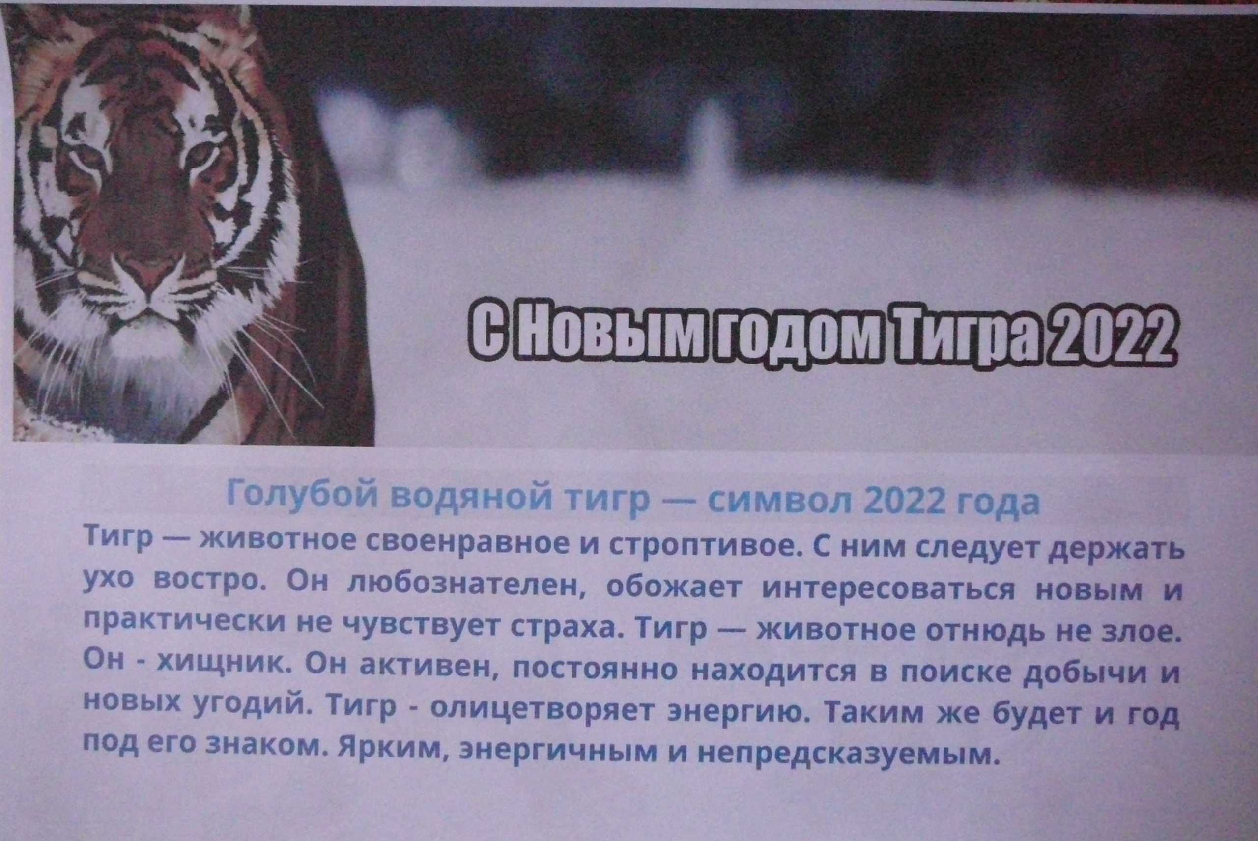 Тигр - восточный знак зодиака 2010 года. какими чертами характера обладают люди, рожденные в этот год? - parentchild.ru