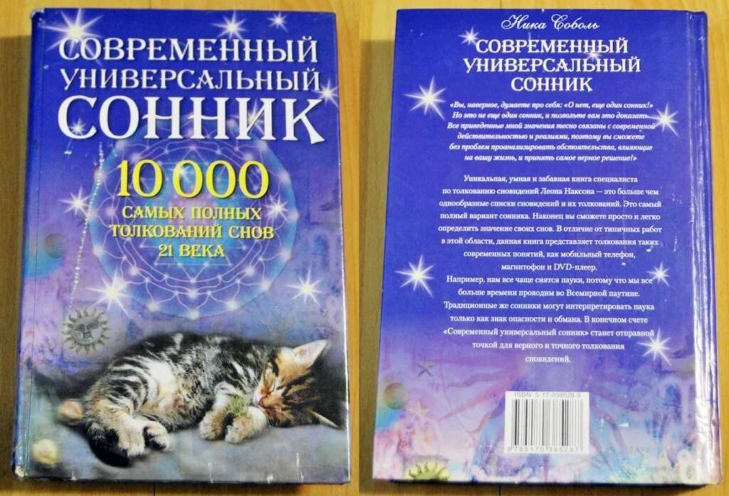 Что рассказывают сонники о том, к чему во сне снится мусор и все связанное с ним