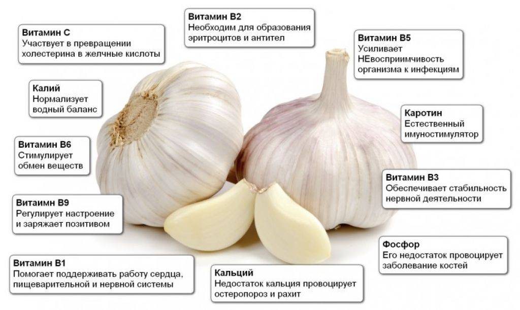 К чему снится чеснок? толкование по 61 соннику