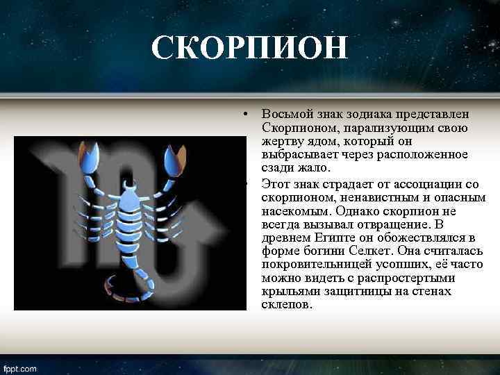 Гороскоп и характеристика скорпиона. дата рождения с 24.10 по 22.11