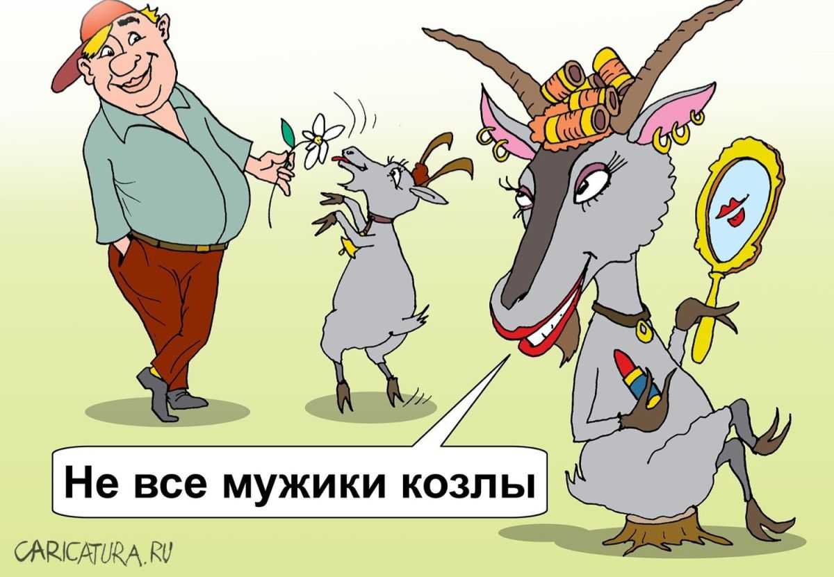 1991 год какого животного? гороскоп на 2021 и 2022 год для овцы (козы) 1991 года рождения