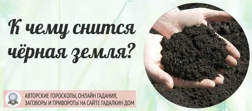 Земля – сонник: к чему снится земля
