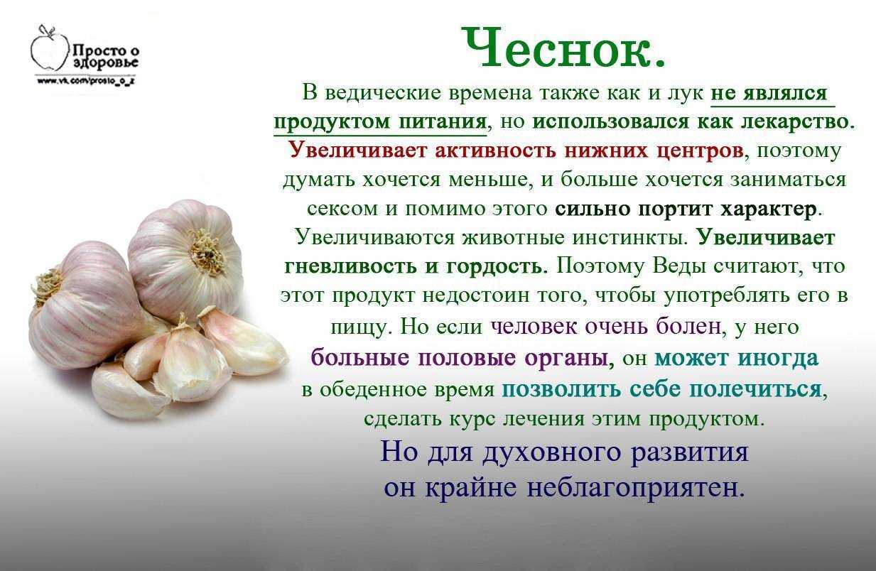 Как трактовать сон о чесноке — 50 точных значений