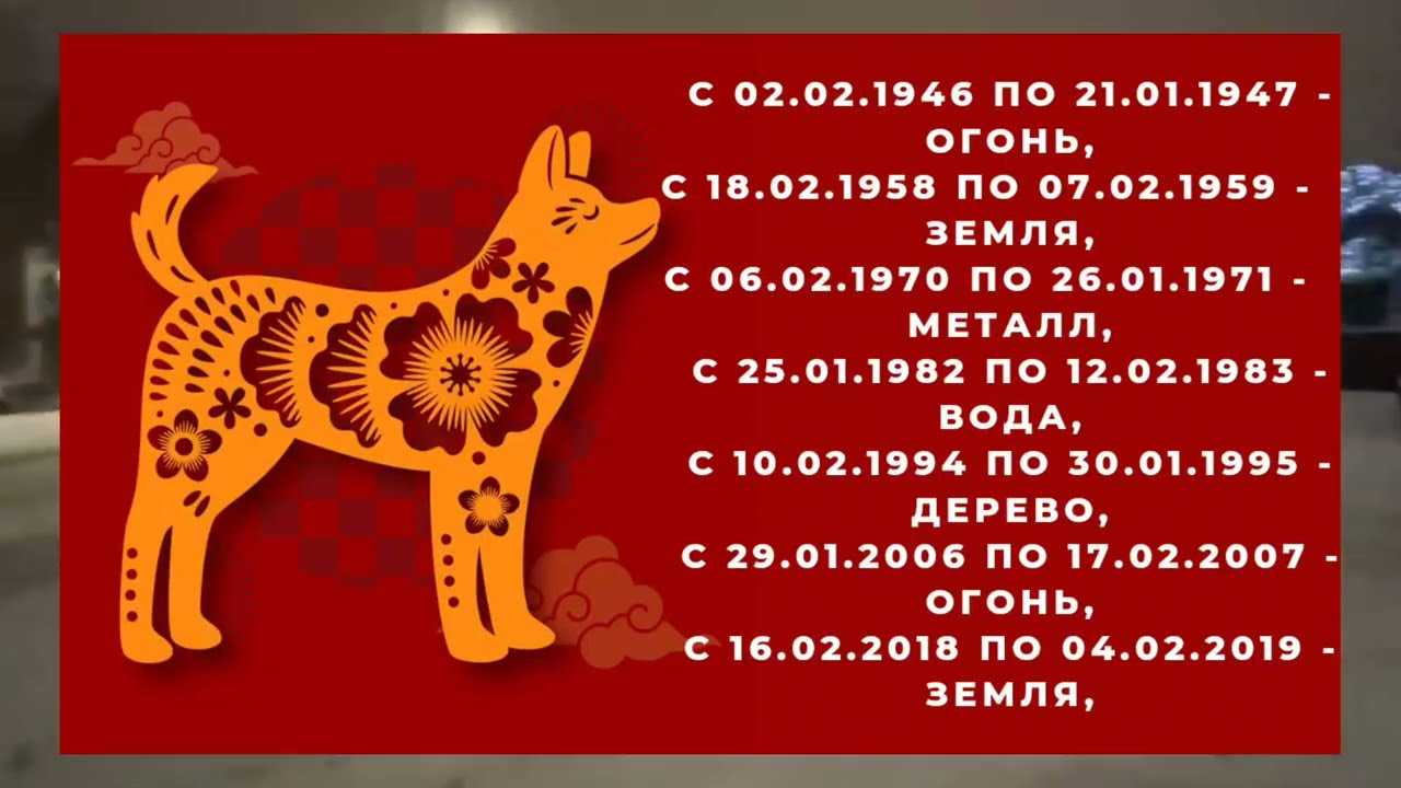 Гороскоп на 2024 год по знакам зодиака и по году рождения