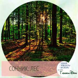 Сонник озеро, к чему снится озеро, во сне озеро