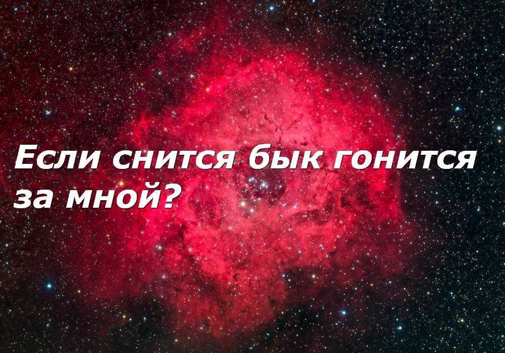 Схватили по соннику