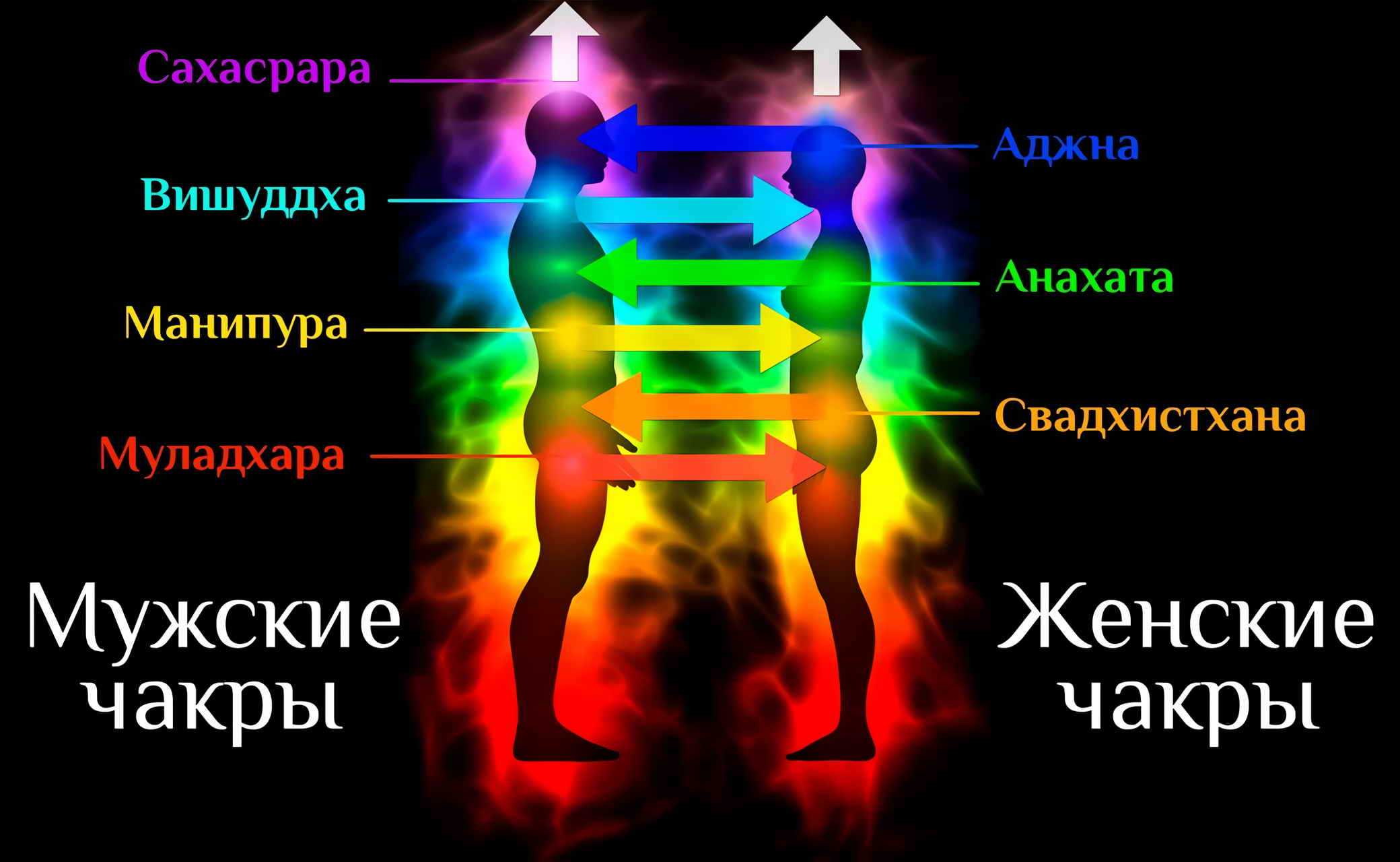 Чакры человека: что такое чакры и каково значение каждой из 7 чакр