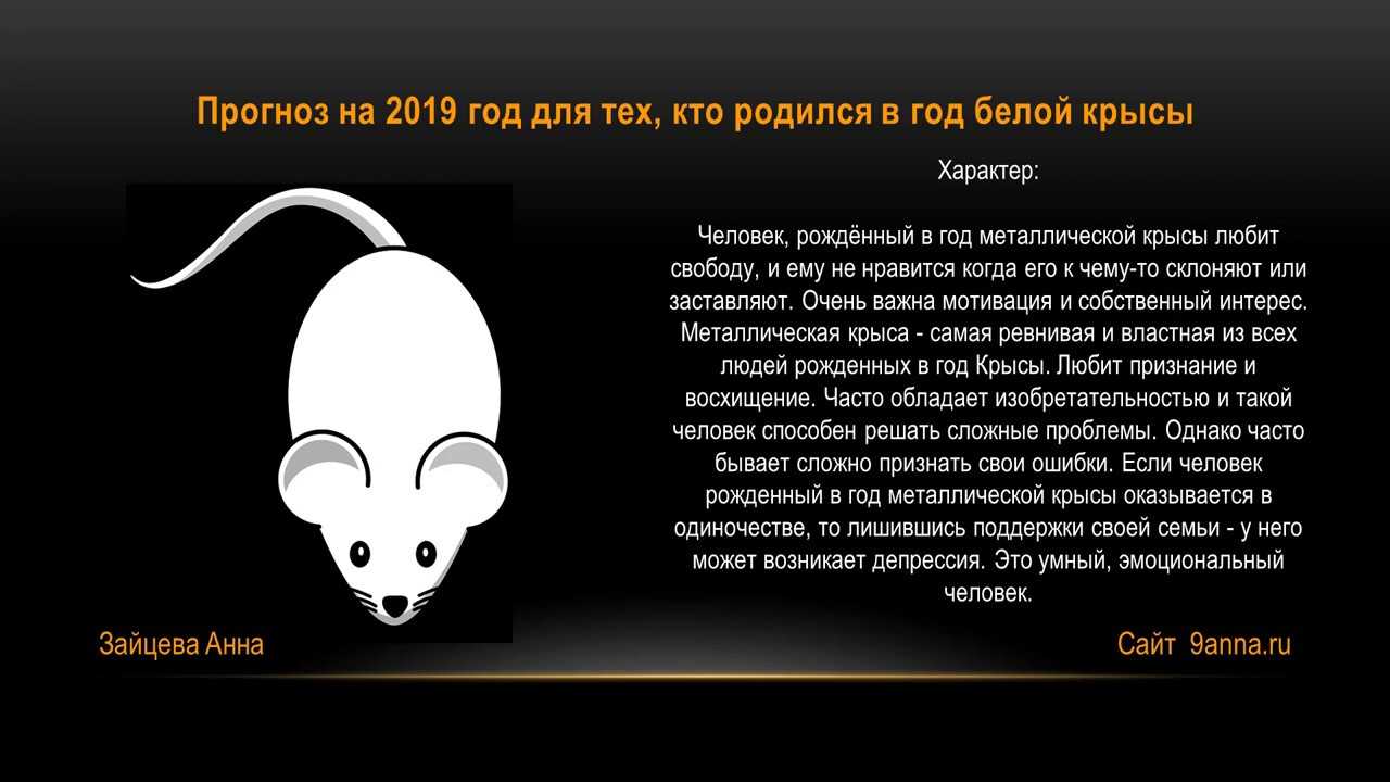 Год крысы (качества мужчин, женщин и детей): сильные и слабые стороны характера представителей знака