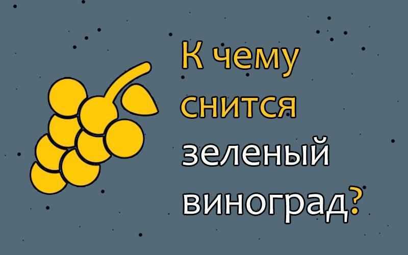 К чему снится виноград 🍇 - топ 43 значения ❗ по сонникам: что означает видеть во сне маленькую сладкую виноградную гроздь или виноградник для девушки или парня