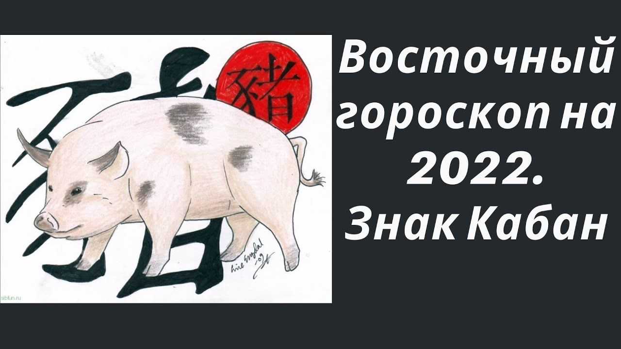 1983 — год какого животного по восточному календарю? характеристика и совместимость