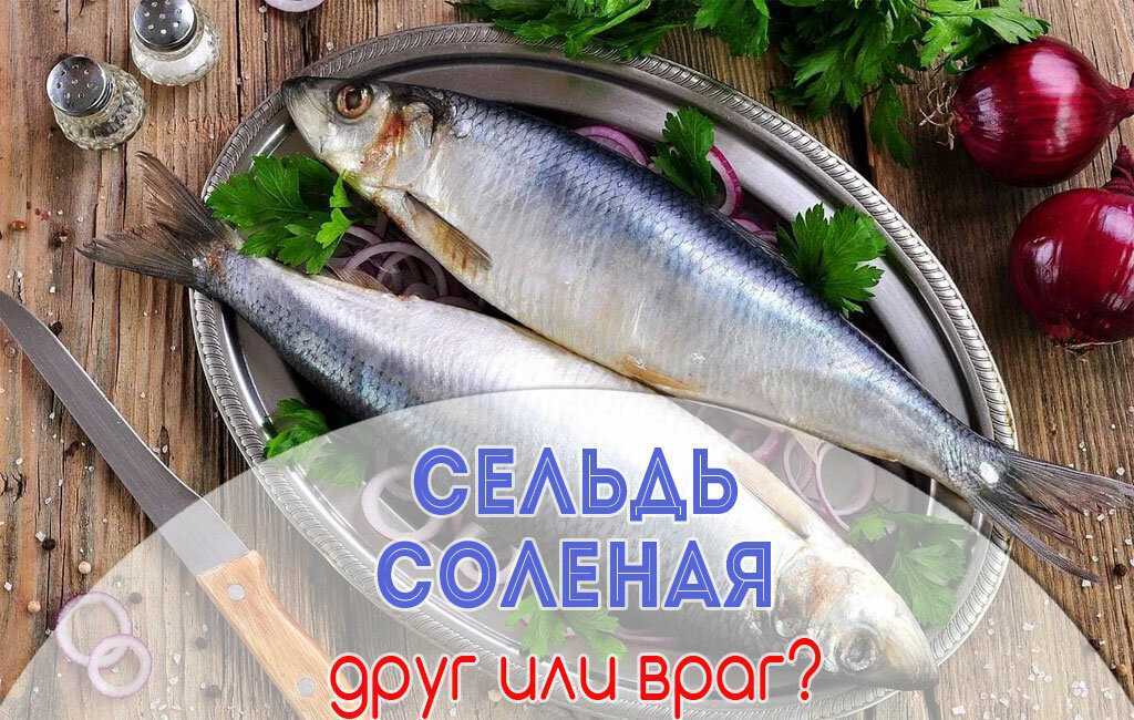 К чему снится селедка: ее можно ловить и жарить резать и кушать; селедка соленая с икрой