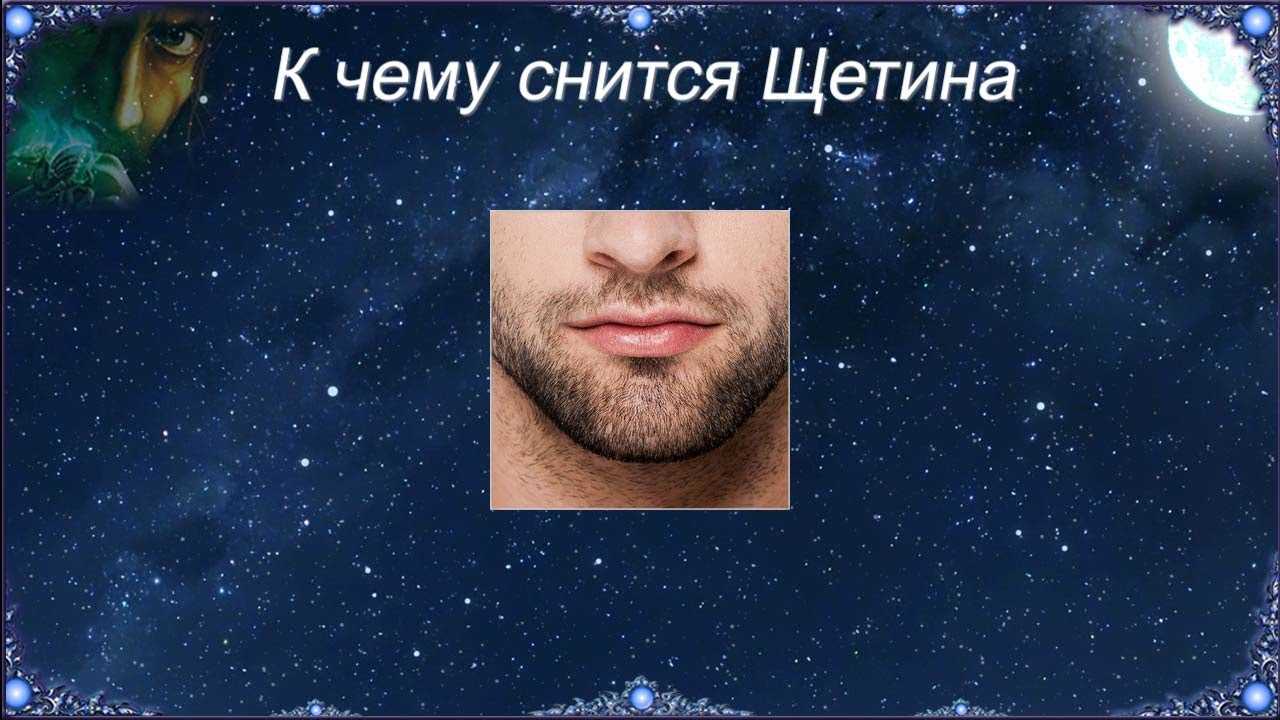 К чему снится борода: значение сна, самое полное толкование сновидения по соннику - tolksnov.ru