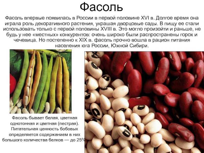 К чему снится фасоль – значение по соннику для женщин и мужчин