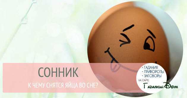 Куриные яйца во сне – к чему снятся женщине, мужчине
