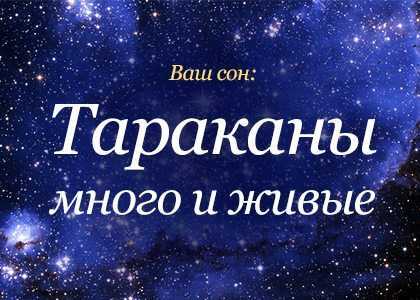 К чему снится много живых тараканов: толкование сна про насекомых, значение по современным сонникам