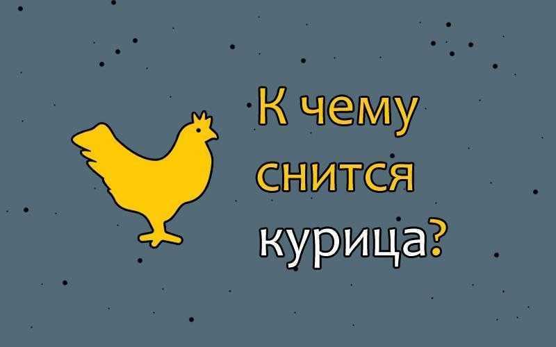 К чему снятся куры - автор екатерина данилова - журнал женское мнение
