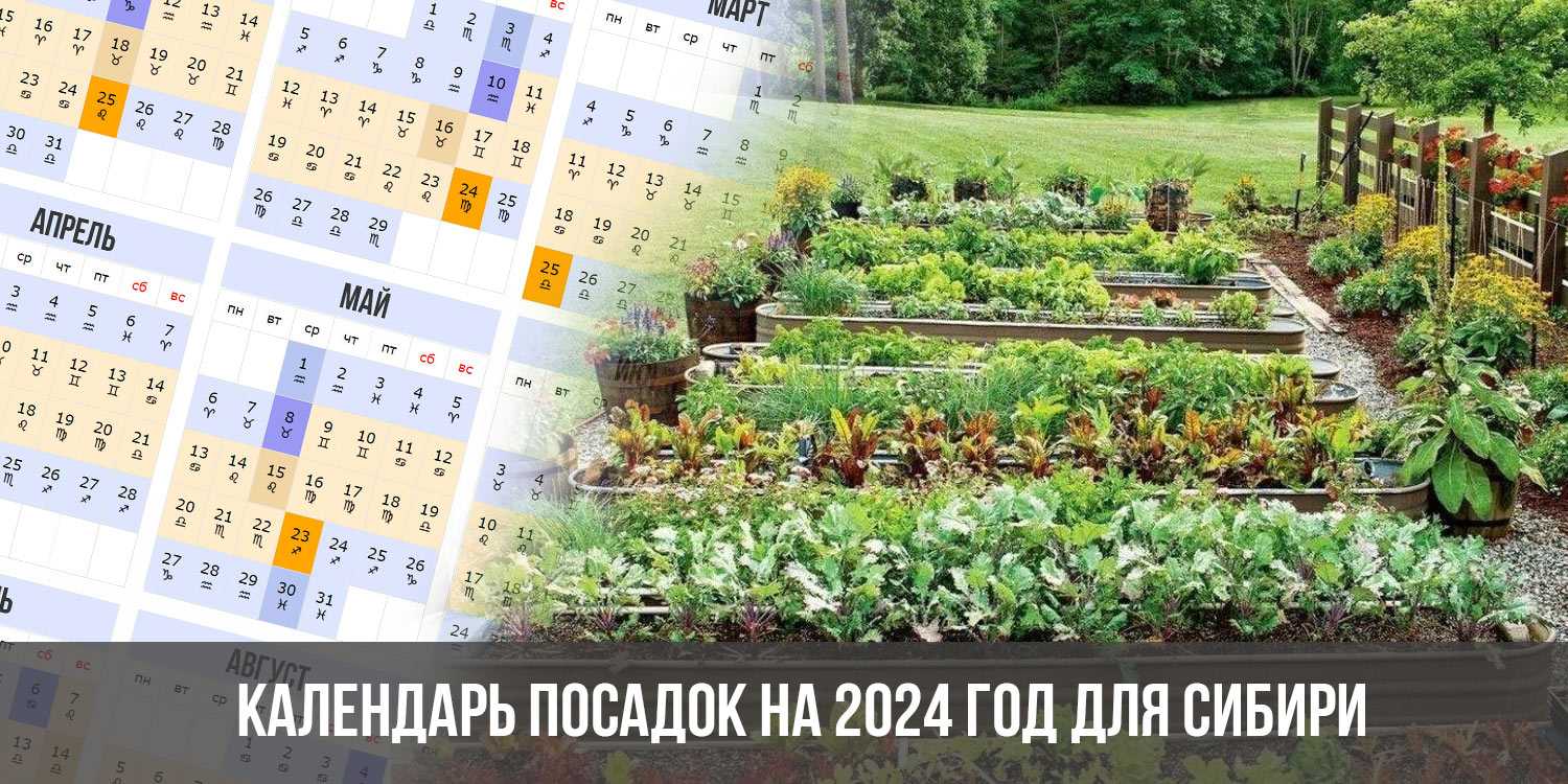 Лунный посевной календарь 2024 года по месяцам для огородников сибири и урала: таблица посевов овощей, зелени, цветов