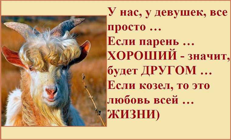 1991 — год какого животного