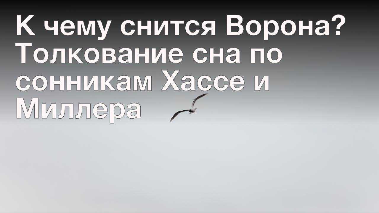 К чему снятся чёрные вороны. сонник про ворон во сне