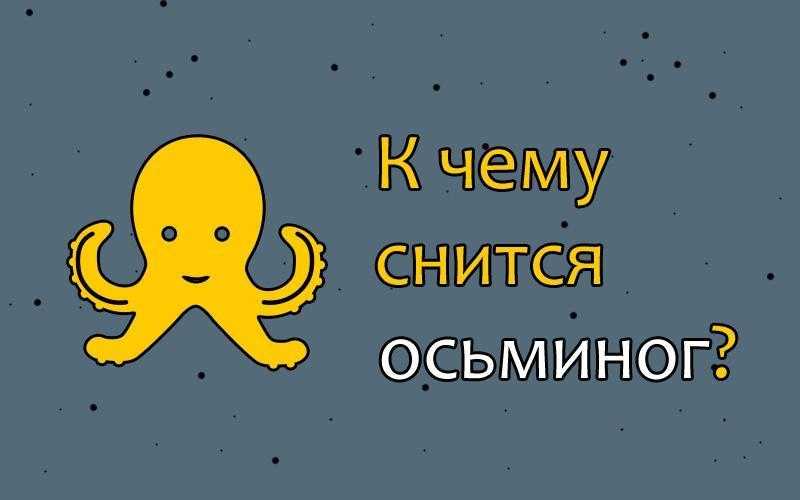 К чему снится осьминог — толкование по миллеру и другим сонникам