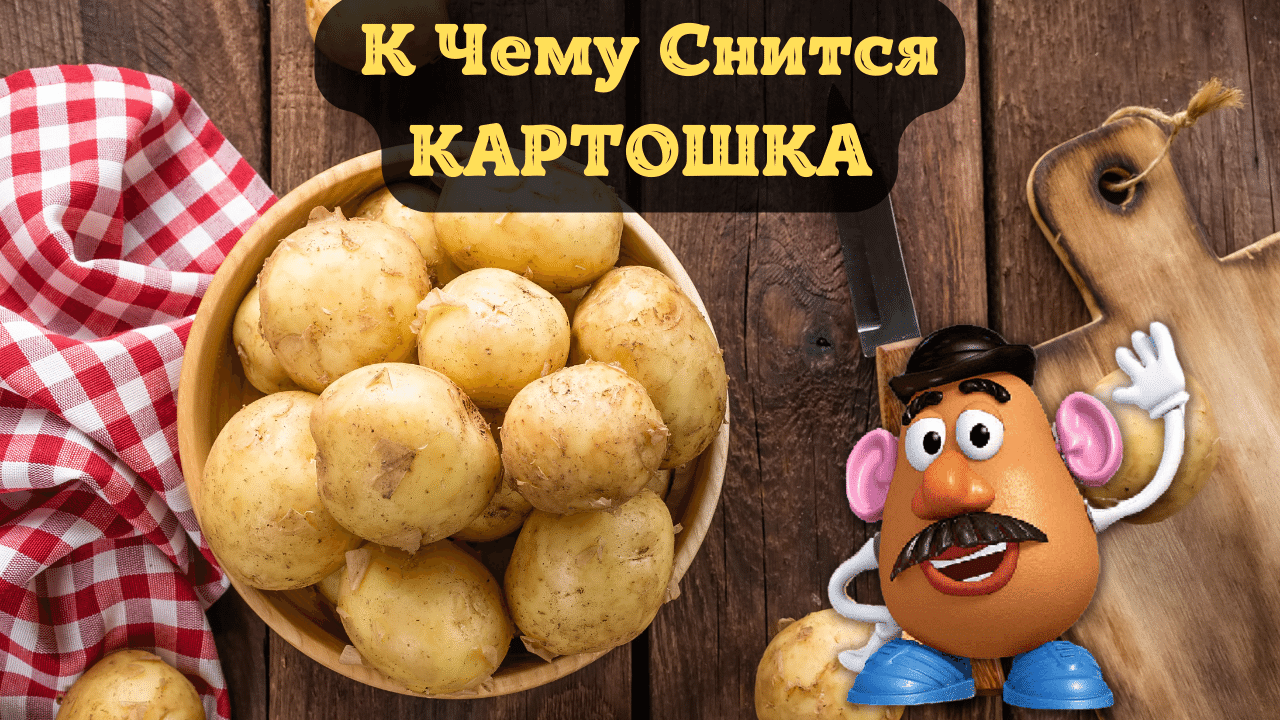 К чему снится копать землю?