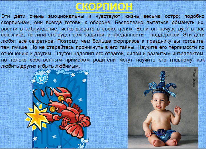Детский гороскоп: скорпион (24 октября — 22 ноября)