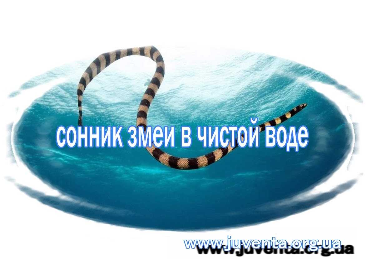 К чему снится ручей? толкование по 14 сонникам