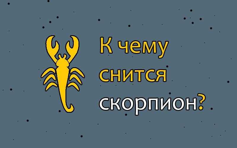 Сонник скорпион или к чему снится скорпион. видеть во сне скорпион